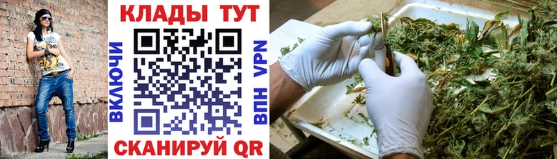 Какие есть наркотики Киржач СОЛЬ  Псилоцибиновые грибы  Бошки Шишки  АМФЕТАМИН  ОМГ ОМГ   ГАШ  Кокаин 